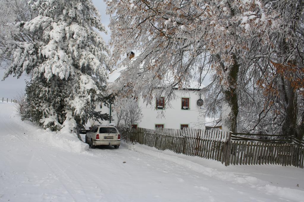 Apartman Hořice na Šumavě エクステリア 写真